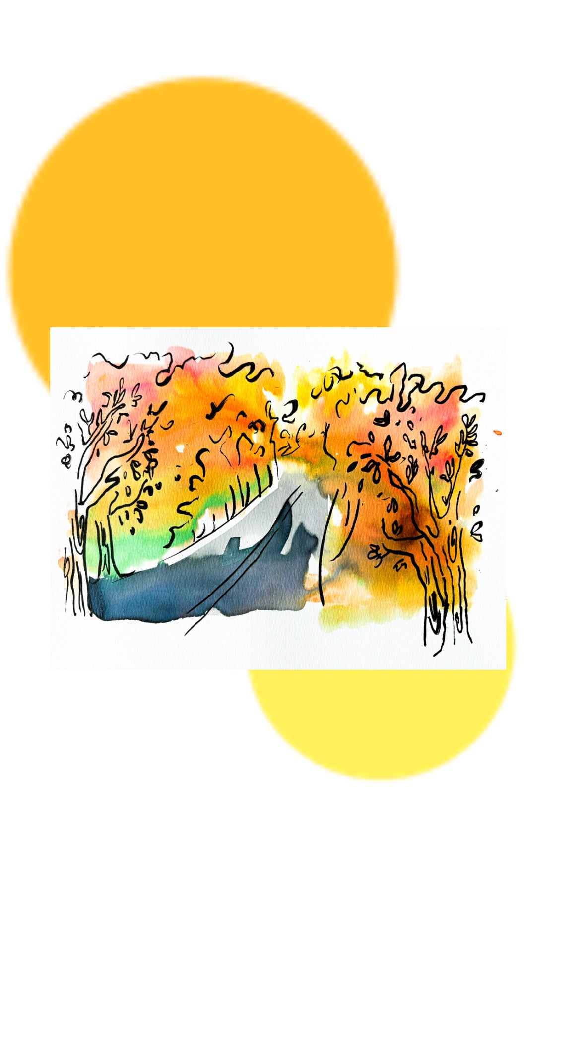 EXTRA OCT EC
